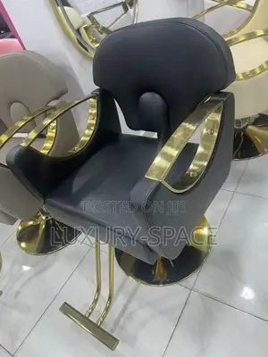Unique Luxury Saloon Chair