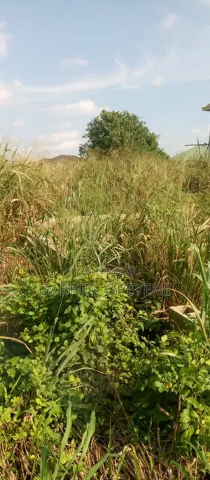 Land for Sale at Shimawa, City of David. Lotto Bus Stop
