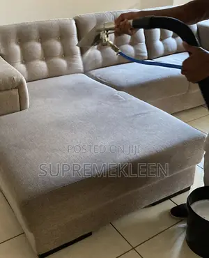 #Couch Cleaning Very Detailed