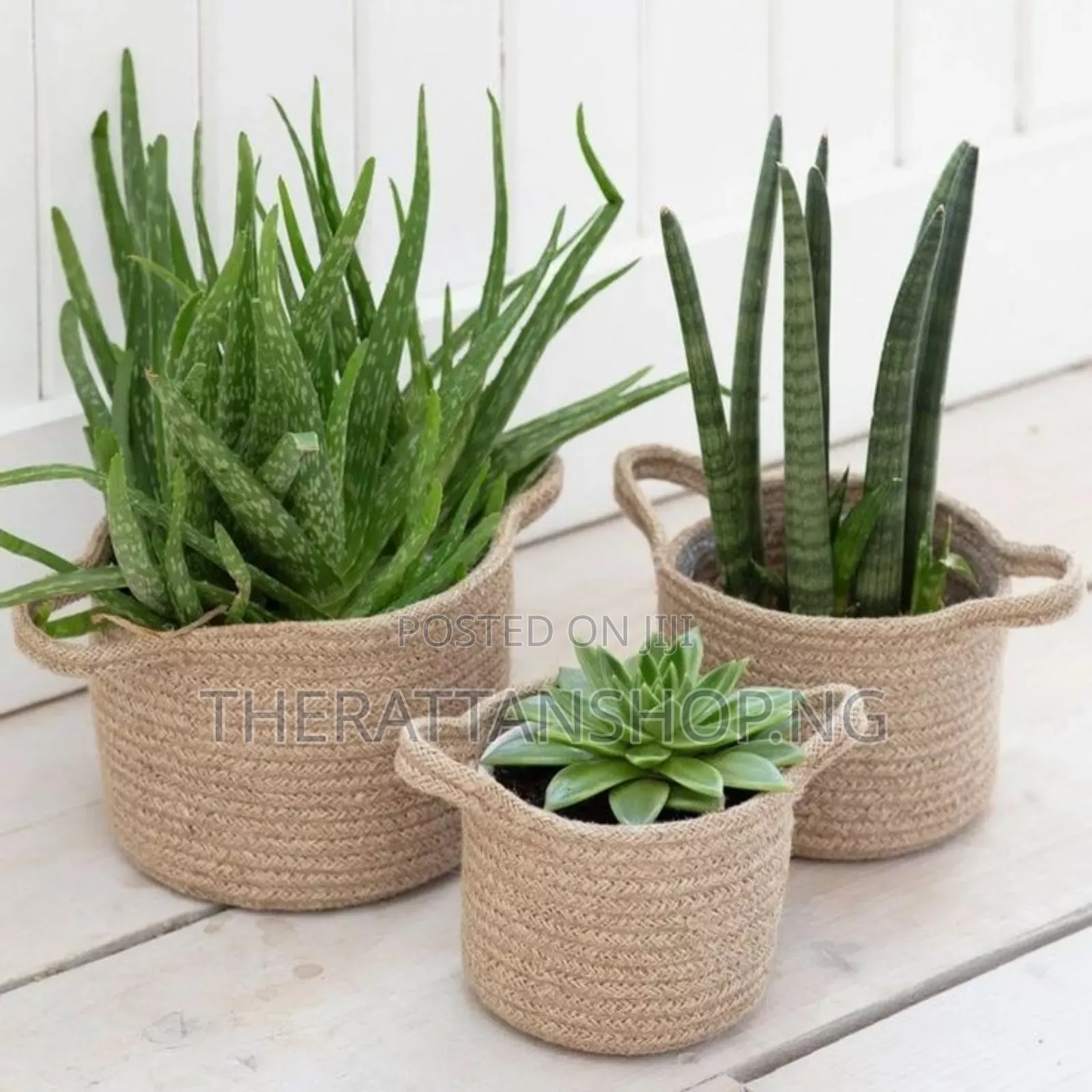 Rattan Planter