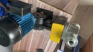 Original Chemical Dosing Piston Doing Pump