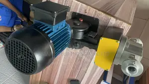 Original Chemical Dosing Piston Doing Pump