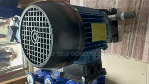 Original Chemical Dosing Piston Doing Pump