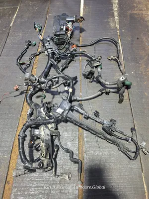 Complete Harness Wire for 2013-2017 Honda Accord V4 Engine