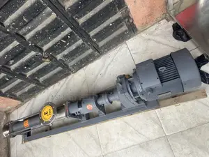 Stainless and Cast Mono Pump