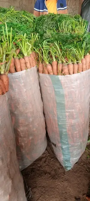 Fresh Carrot