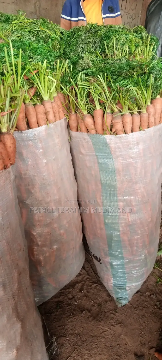 Fresh Carrot