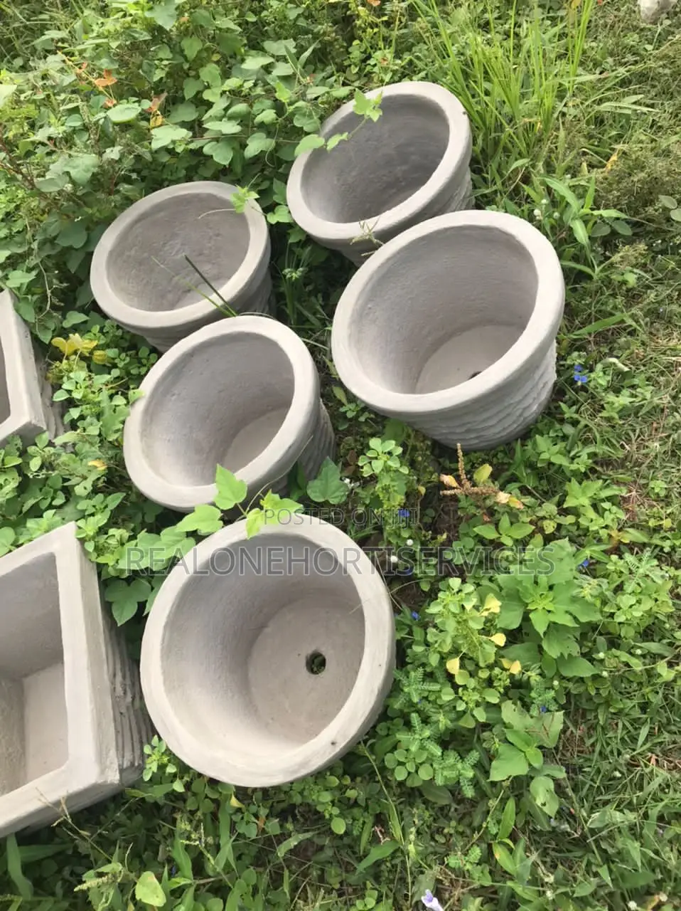 Concrete Pots for Mini or Kitchen Garden