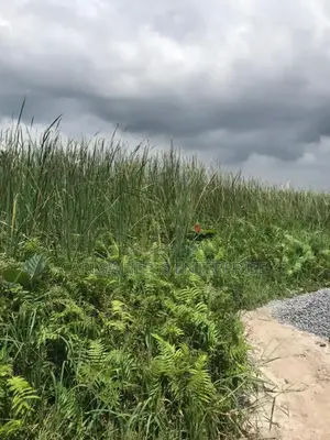 100 Ecres Not Dry and Not Swamp Land in Kajola Phase 2