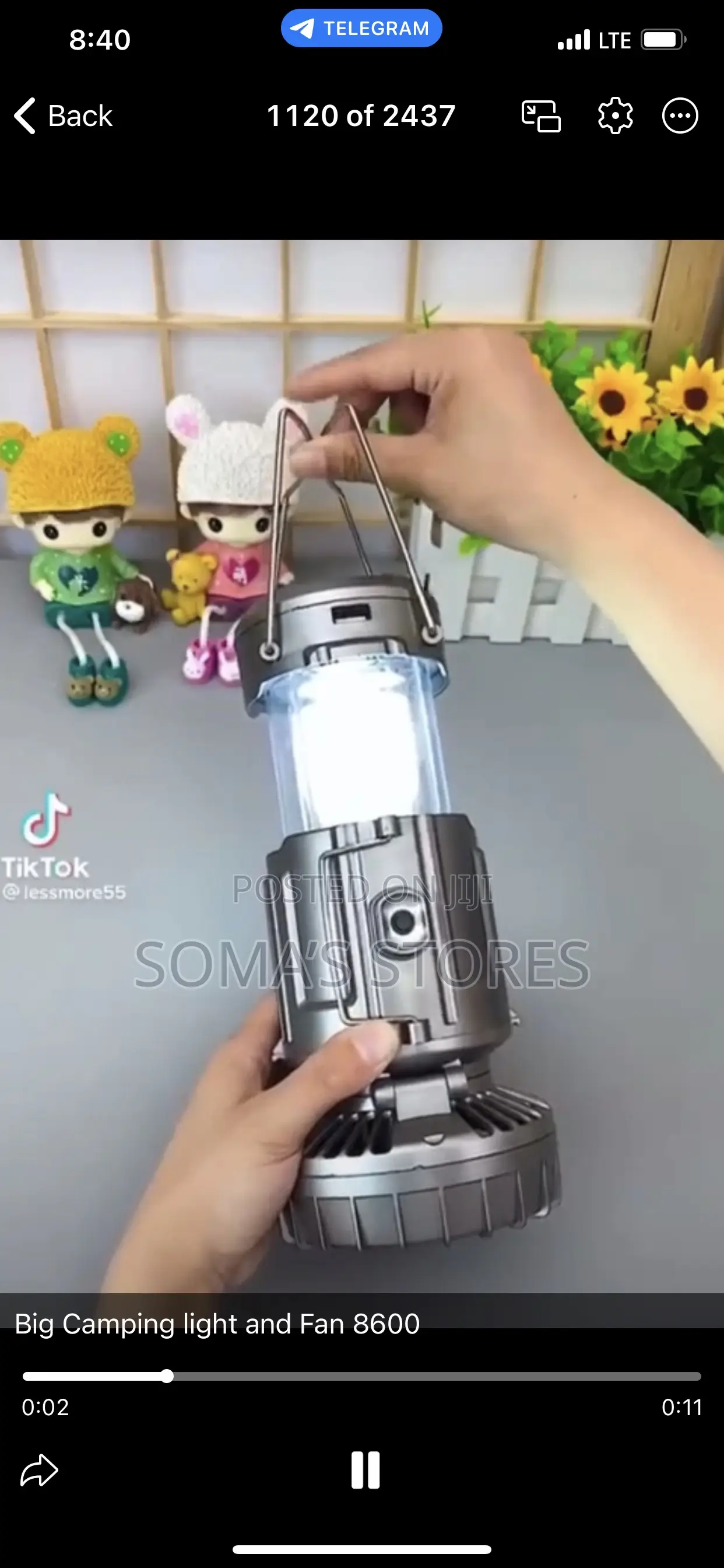 Big Champing Light With Fan