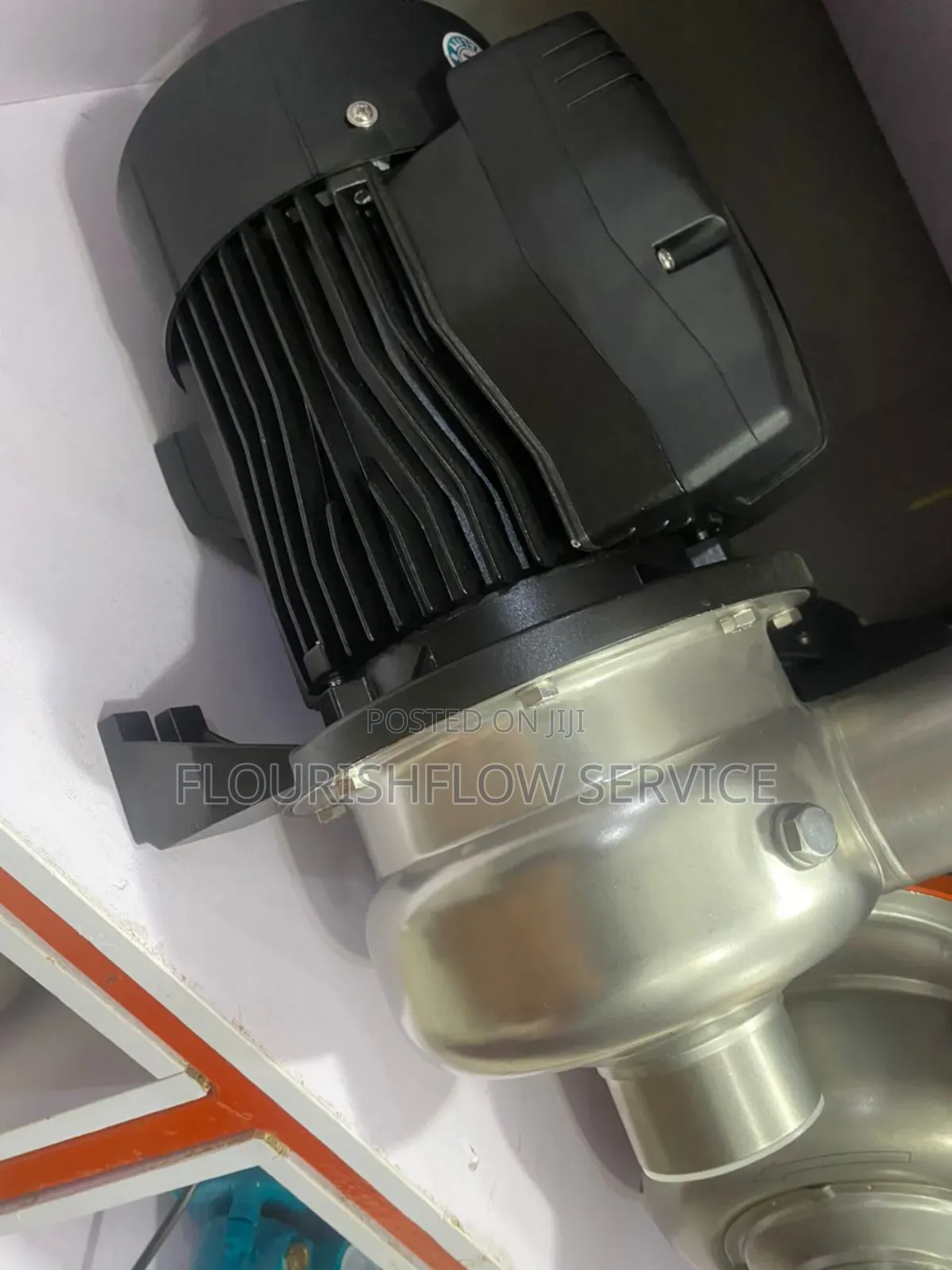 LEO 3hp Stainless Pump