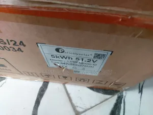 Felicity Lithium Iron Battery 5kwh 51.2V