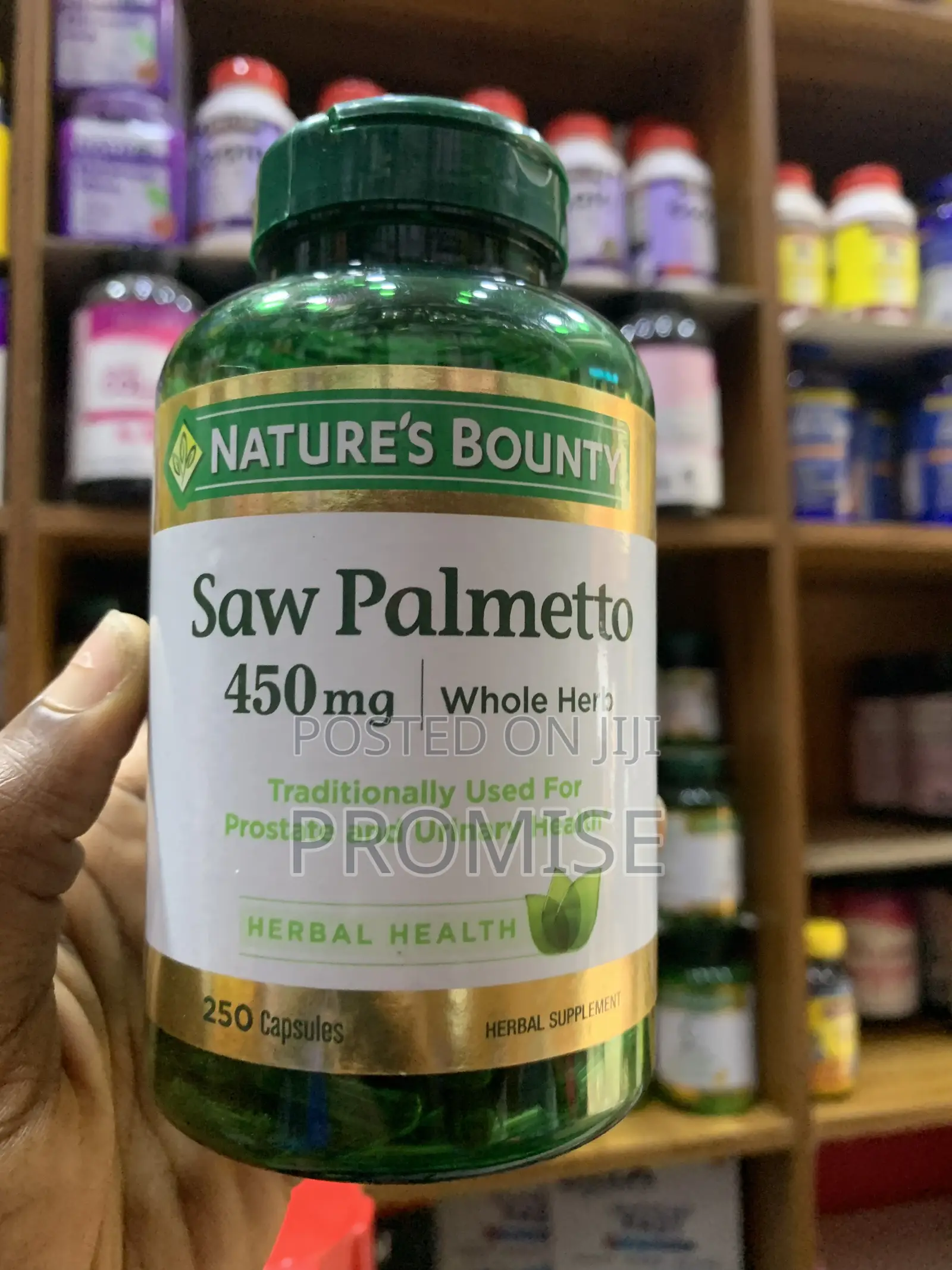 Saw Palmetto