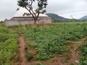 Photo - Land for Sale