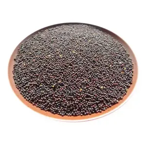 Mustard Seeds - Black Available - 