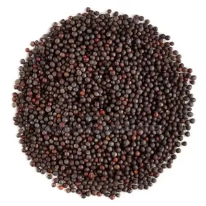 Mustard Seeds - Black Available - 
