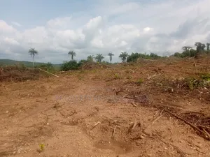 Photo - 1000 Plots of Farm Land