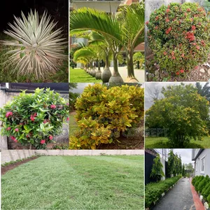 Garden and Lawn Services