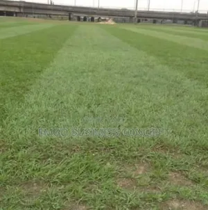 Garden and Lawn Services
