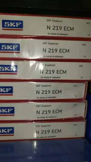 N219 ECM SKF Bearing Available