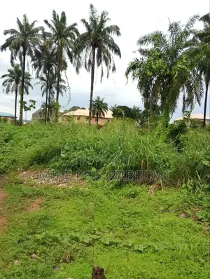 This Is 600 SQM of Land at Umuchigbo by Cornerstone for 12m