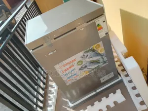 Affordable 100l Snowsea Deep Freezer