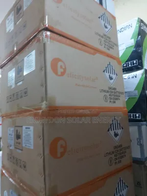 Original Felicity Lithium Iron Battery 5kwh 24V