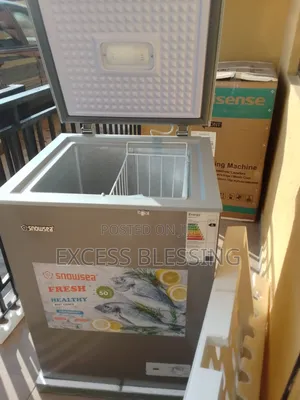 Super Designed 100l Snowsea Deep Freezer Bd_158