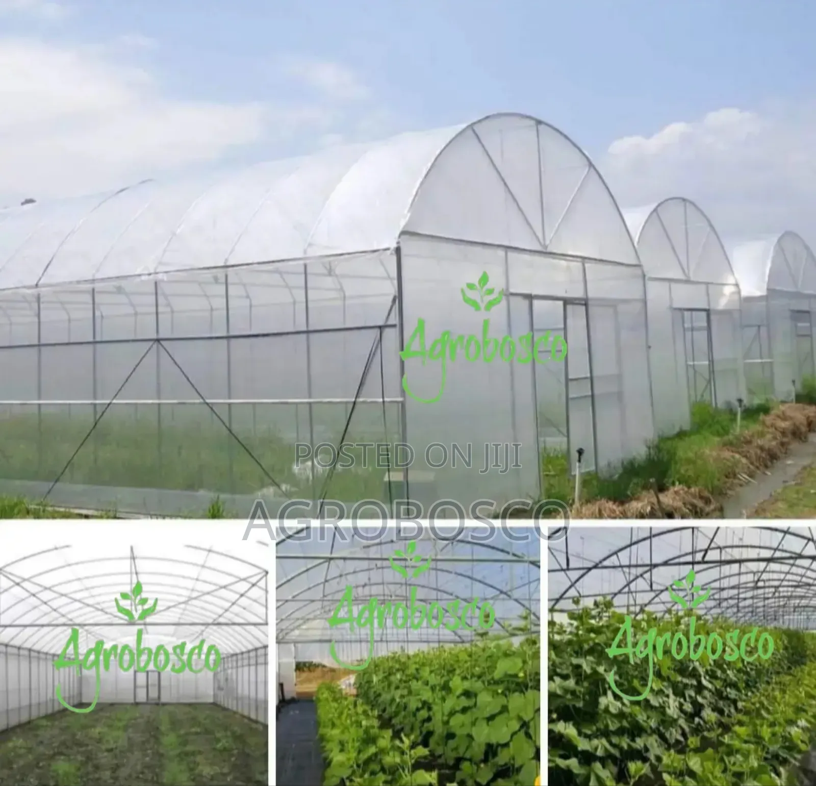 Greenhouse