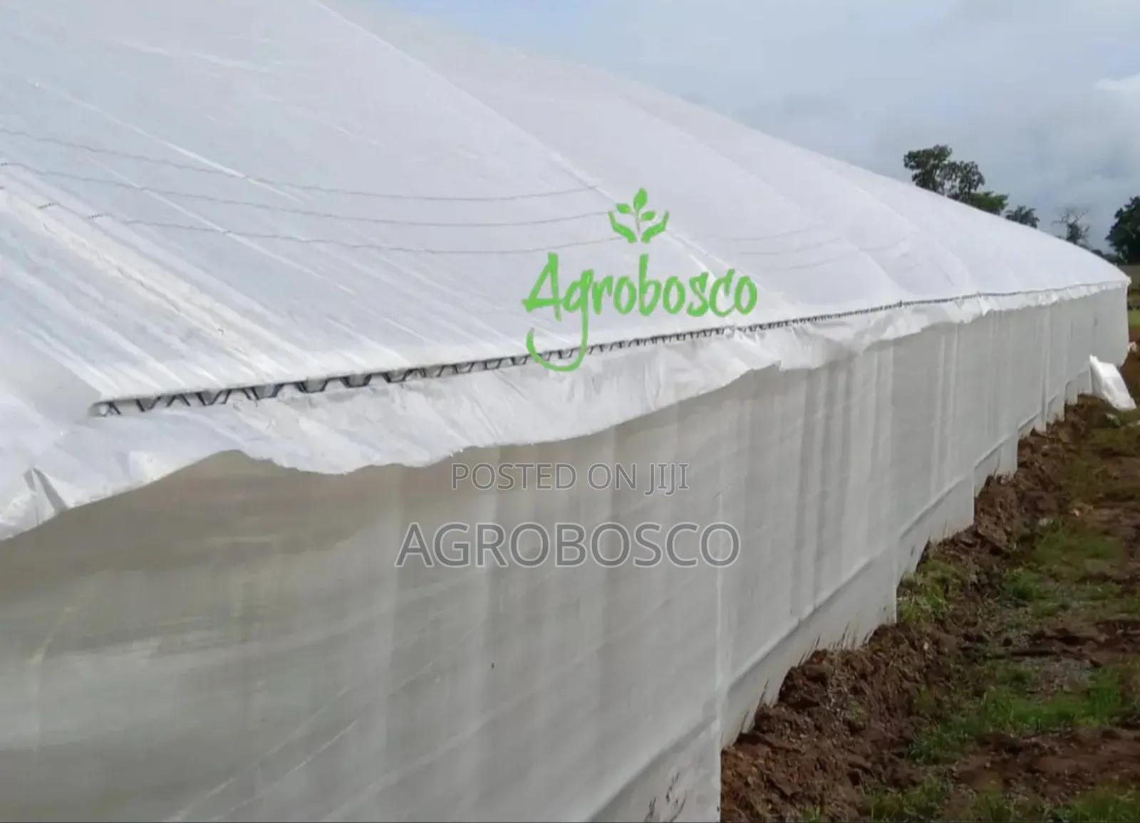 Greenhouse