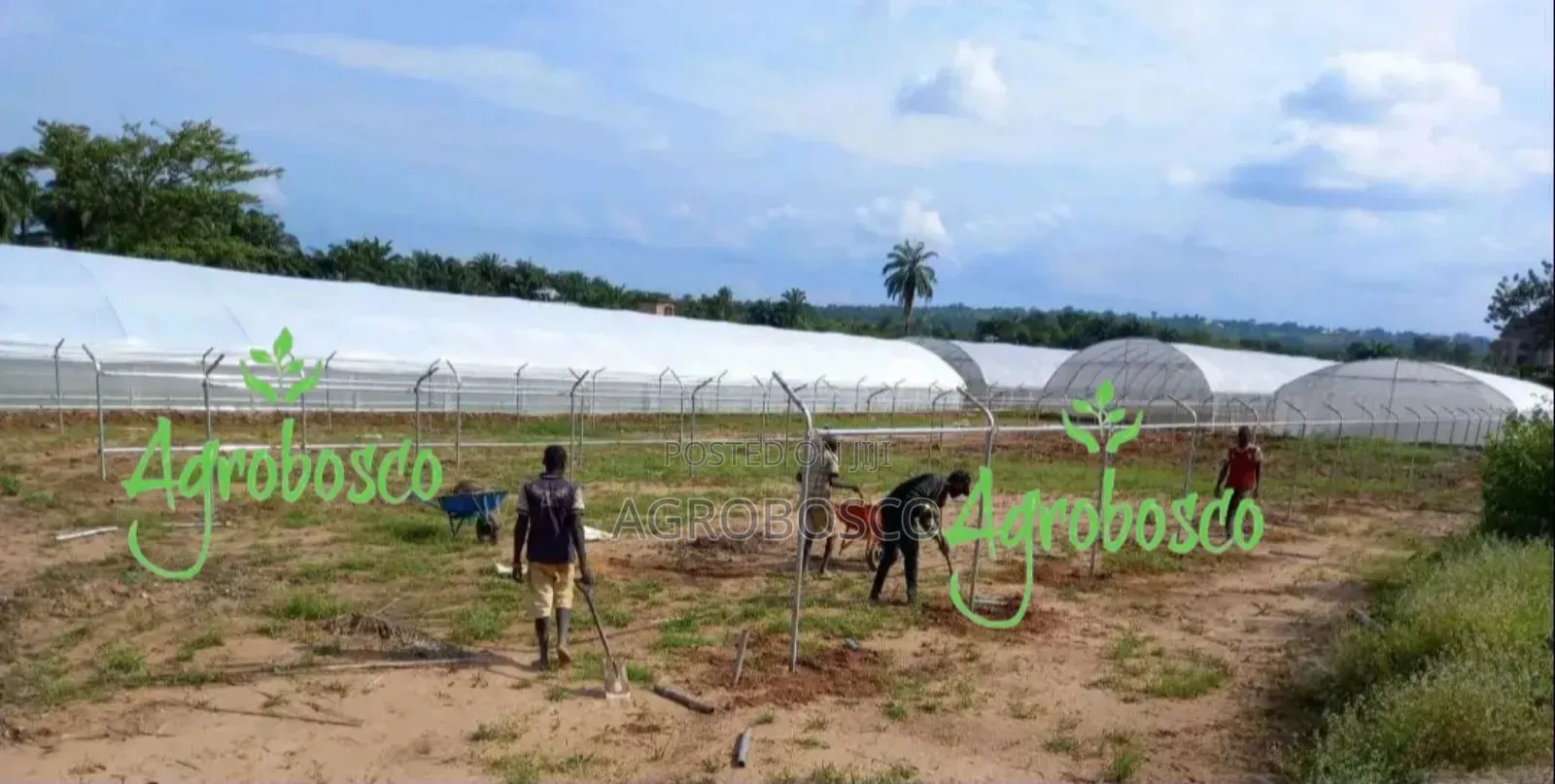 Greenhouse