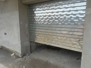 Custom Options for Roller Shutter Doors