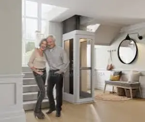 450 Kg Home Passenger Elevators for Sale
