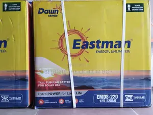 *Eastman Dawn Series Tall Tubular Battery*220ah/12v