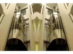 Panoramic Domestic Private Elevator
