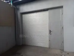 Roller Shutter Doors: Practical and Stylish