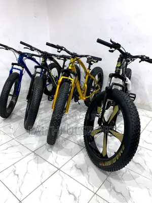 Best Quality New Bicycle Alloyed Tyre Bicycle