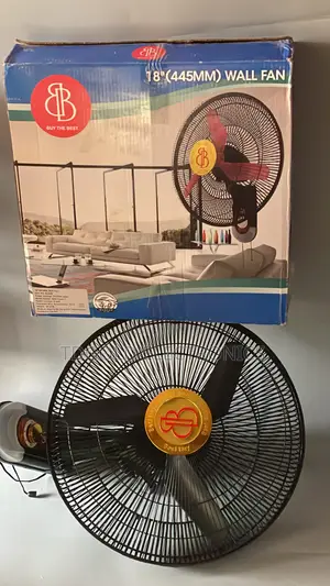 Best Buy 18 Inchs Wall Fan