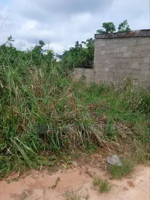 Full Plot Land at Elepete Phase2, Igboolomu Agric Ikorodu 6m