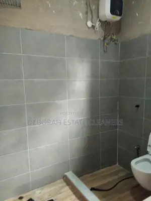 Wall and Floor Cleaning and Polishing