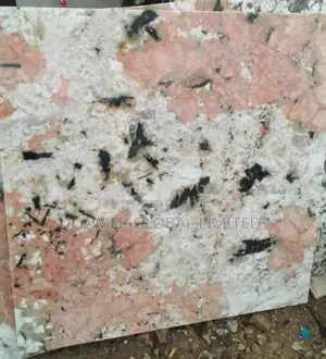 Alaska White 900*900 Granite Tiles