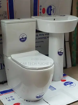 Luxurious Toilet Seat