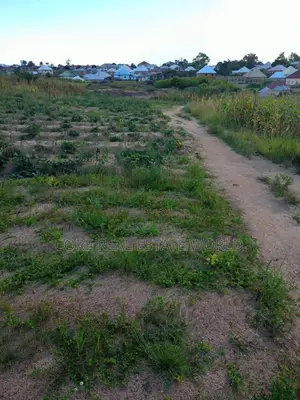Estate Land, Urum, Akwa North, Anambra Sate