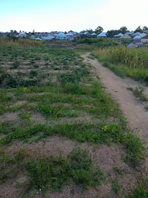 Estate Land, Urum, Akwa North, Anambra Sate