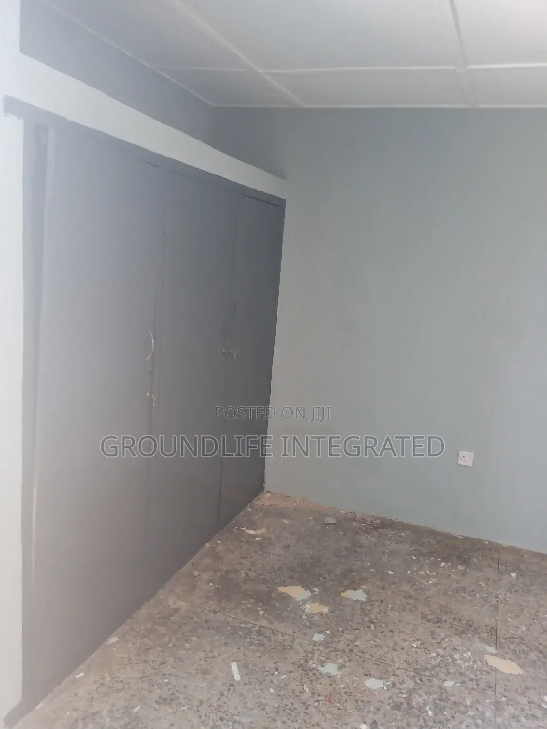 Professional Painter