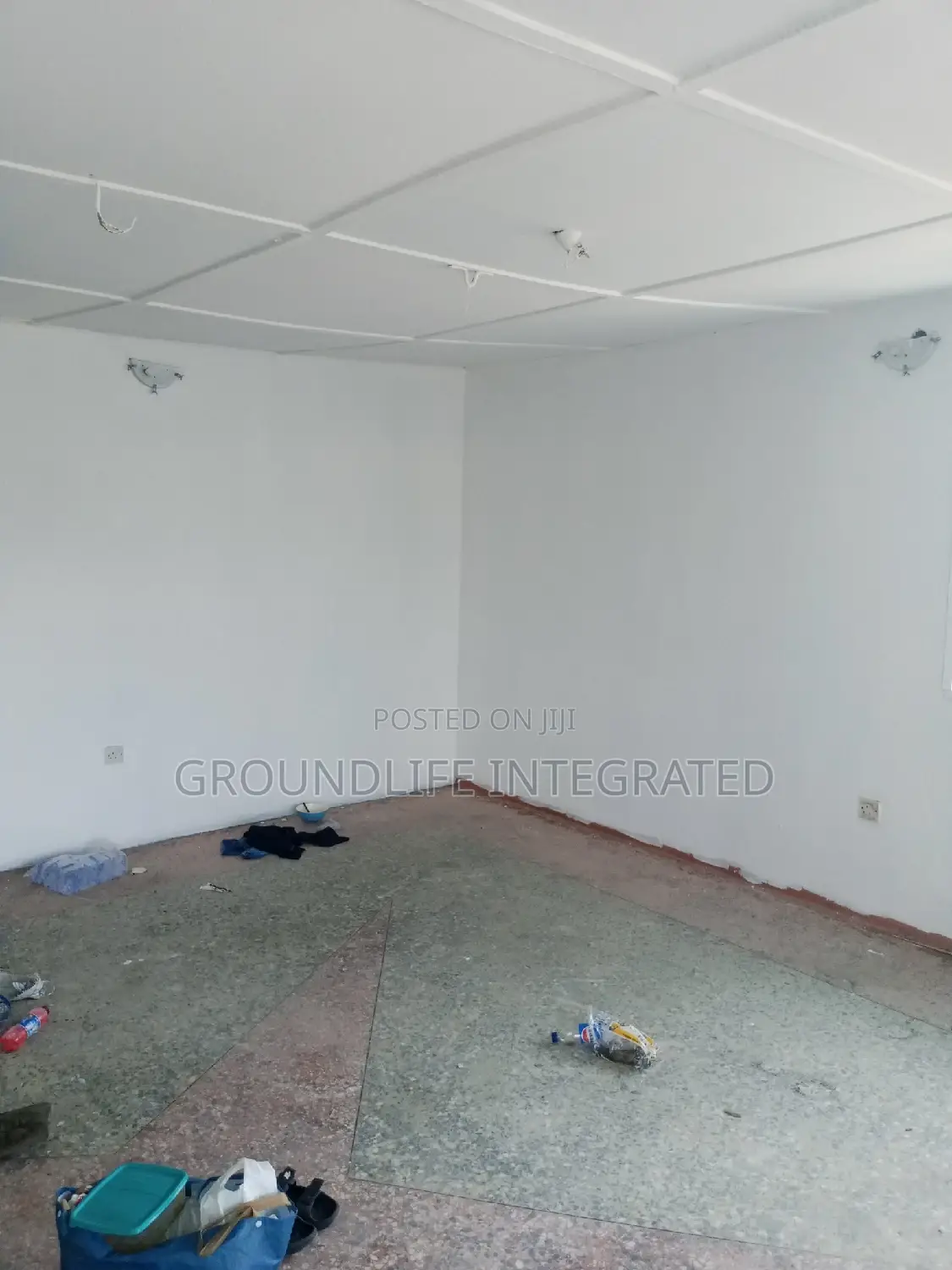 Professional Painter