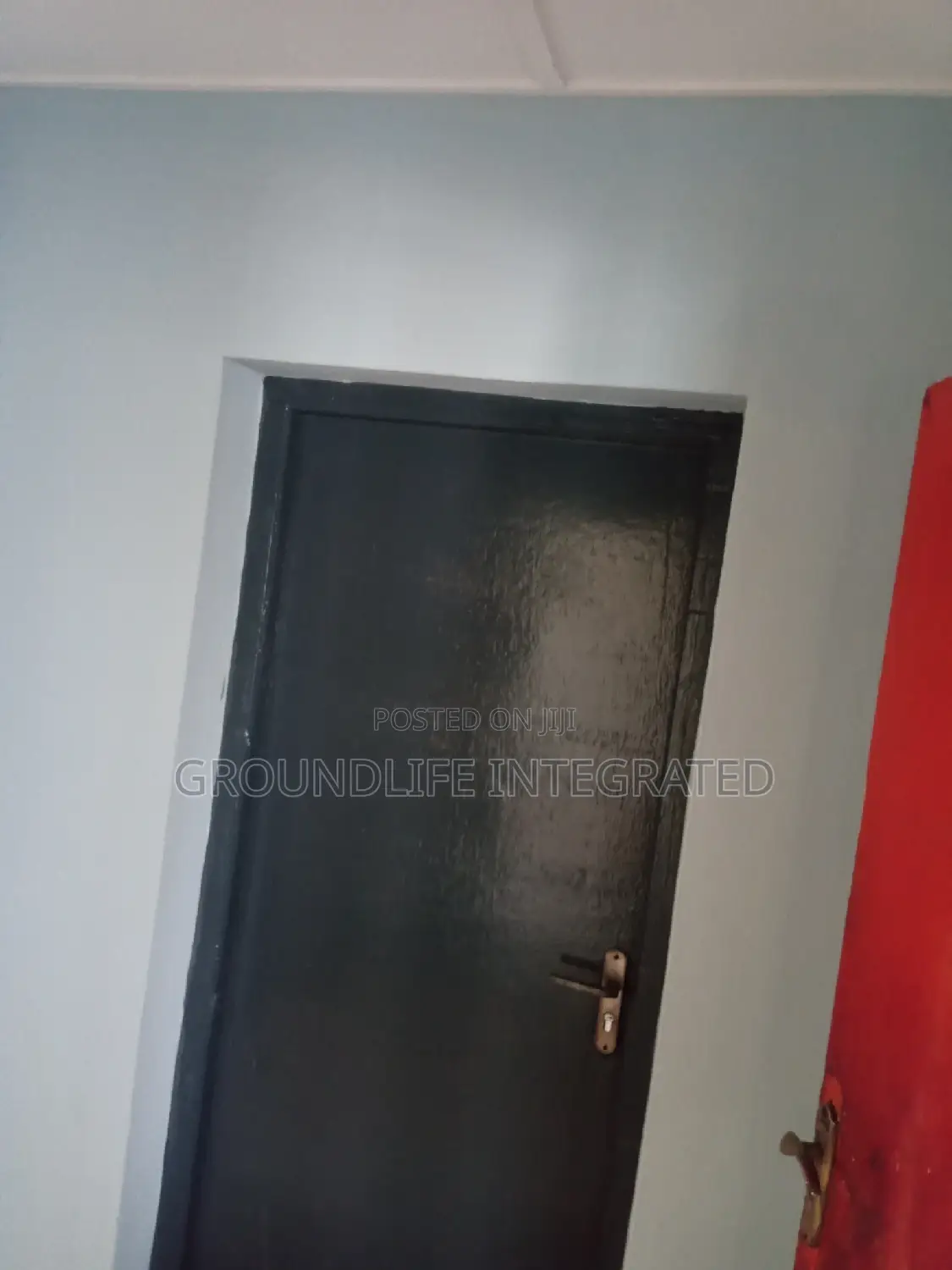 Professional Painter