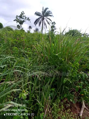 300 Acres of Farmland for Sale at 350,000 Per Acre