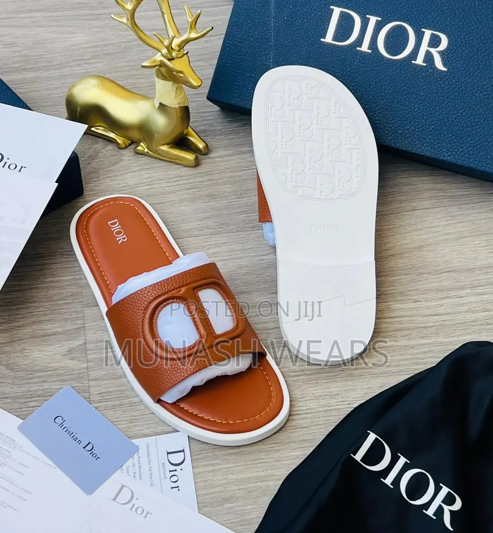 Dior Monogram