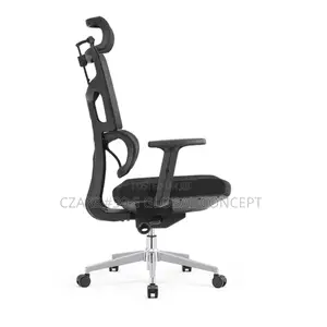 Luxury Ergonomic Office Chairs With Lumber Support